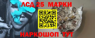 индика Славгород