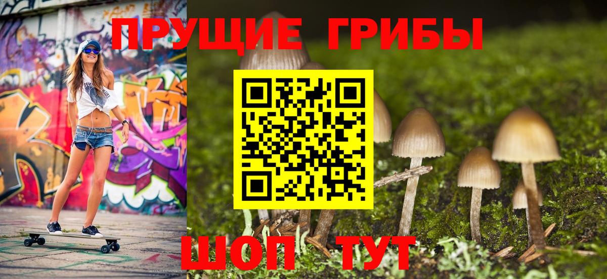 Похвистнево  Галлюциногенные грибы GOLDEN TEACHER  Вход с VPN 